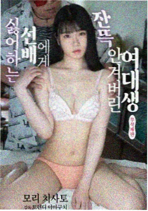 灯塔以南剧集封面图
